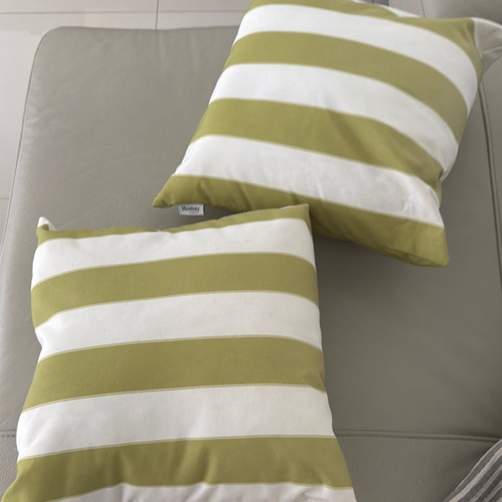 Homey Cozy Cushions / Set of 2